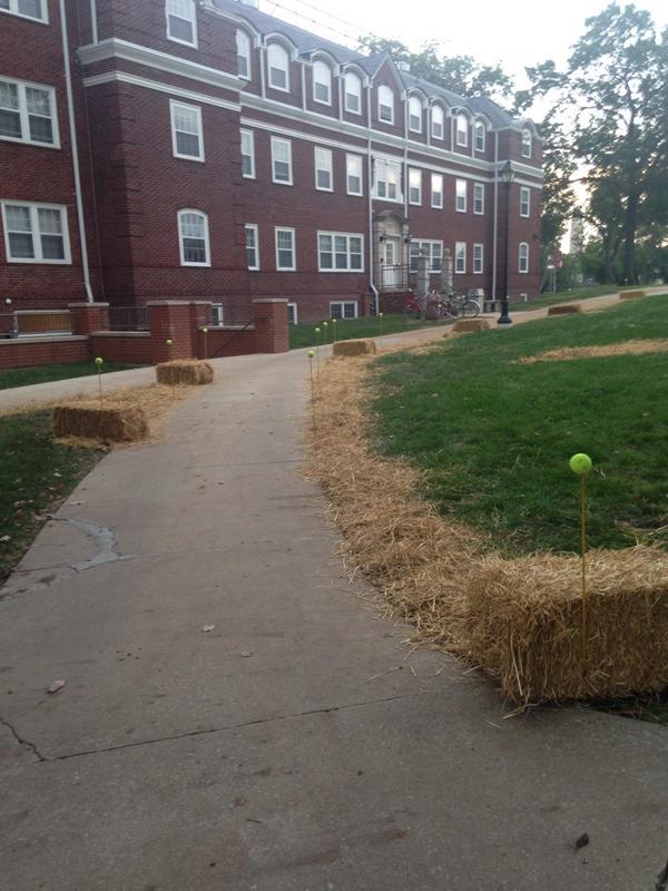 Stephensprobs's tweet image. School or farm? That's the real question