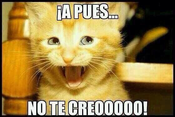 soydementa's tweet photo. @El_RT_  🍃jajaja 😘💋 http://t.co/VJUEza9w1E