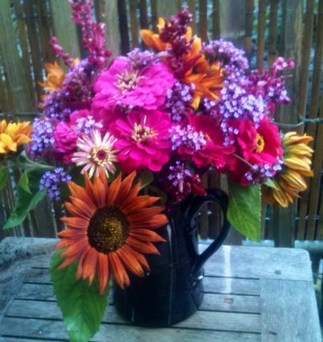 Plot Zinnias, sunflower velvet queen, ubiquitous verbena bonariensis, red orache in fave #davidgarland jug.