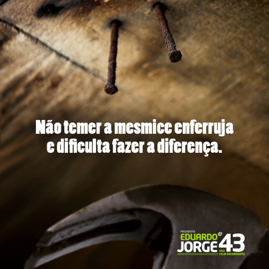 Emily Barbosa tweet media