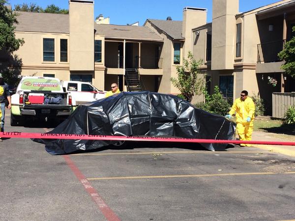 Dr. Sana Syed tweet media