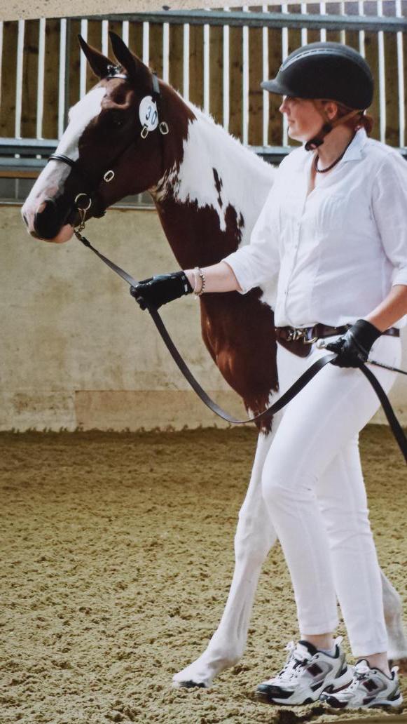 bandwcreative's tweet photo. Love my yearling doing her futurity thing. #prettycow http://t.co/P7UJ4wAYda