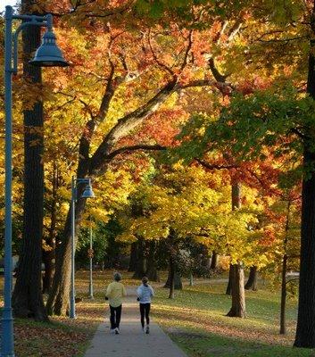 BerkeleyRunning's tweet image. Fall is upon us!  Prepare yourself with cool weather gear from Berkeley, and enjoy the colors of the season!