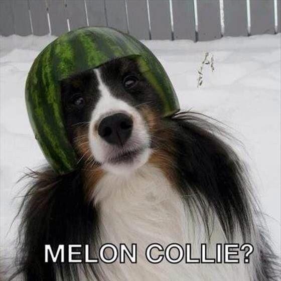 KateFitzs's tweet photo. This makes me far too happy 🙊 http://t.co/Gb3JZ6f8e5