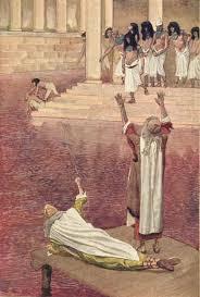moses_man_'s tweet photo. Upon all their pools of water, that they may become blood; there may be blood throughout all the land of Egypt #pfs5 http://t.co/d9LHtDoXwi