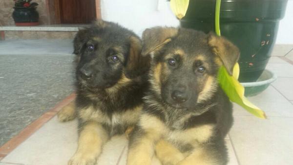 sandritam5's tweet photo. @manurapao te quieroo http://t.co/rgjVOYz3K0