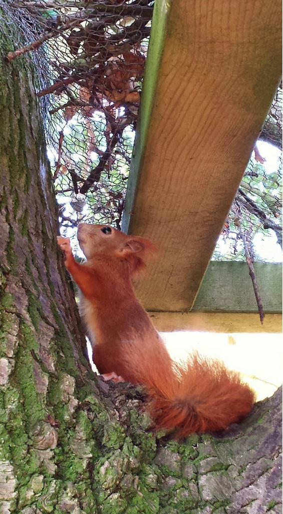 Someone special came out to say 'hello' today... 🍃