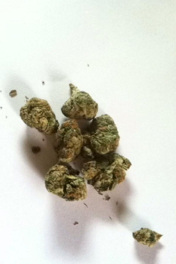 sc_parties's tweet photo. Got some dank the other day! http://t.co/KO9cPsv8JV
