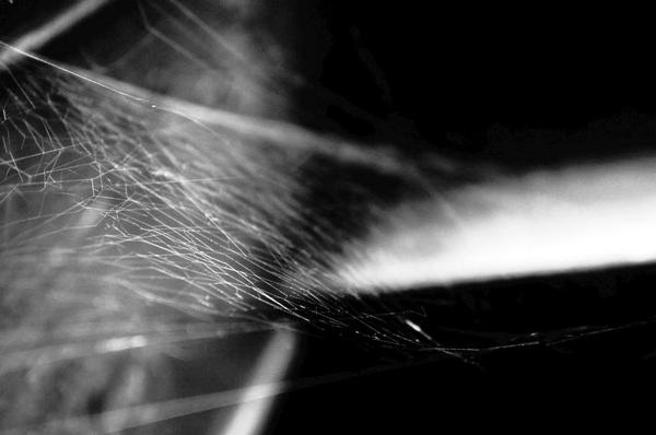 TiPiAgency's tweet image. A Place Where The Time Has Stopped #BenedictineMonastery #Boumov #czechrepublic tipiagency.eu/?p=88