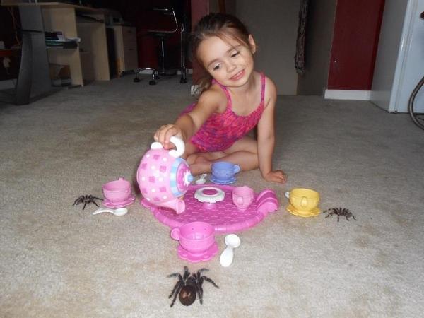 JayScro's tweet photo. My response to people who are scared of spiders http://t.co/033914Z01V