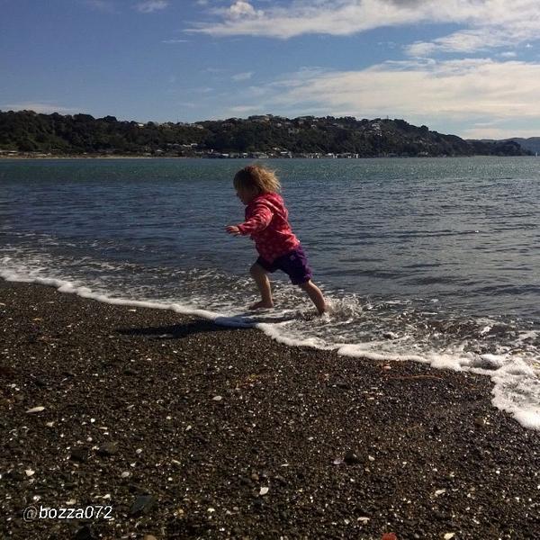 WhyWellington's tweet photo. "#Seatoun
#whywellington
#springpaddle" via @BarryMinister (Twitter) @bozza072 (Instagram) http://t.co/tQ6iRnbg5D
