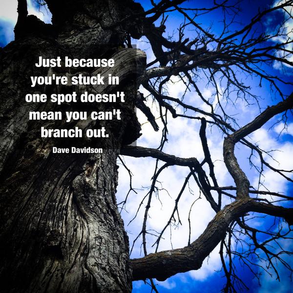 QuotoPhoto tweet picture