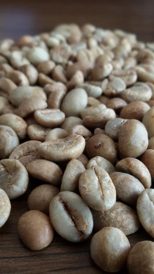 worcas's tweet photo. New!!! Kopi Luwak Robusta Bali - Indonesian Best Coffee Gourmet. http://t.co/PUzAGUCAYb