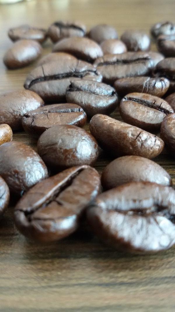 worcas's tweet photo. New!!! Kopi Luwak Robusta Bali - Indonesian Best Coffee Gourmet. http://t.co/PUzAGUCAYb