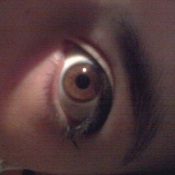 AlarconBarbara's tweet photo. I see u http://t.co/a05UpM0iNl