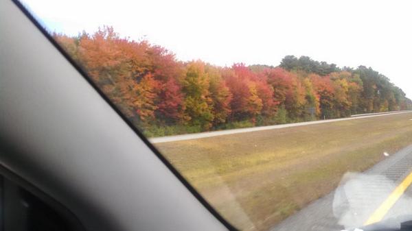 BePeacePositive's tweet image. Love the colors of Fall... &amp;lt;3