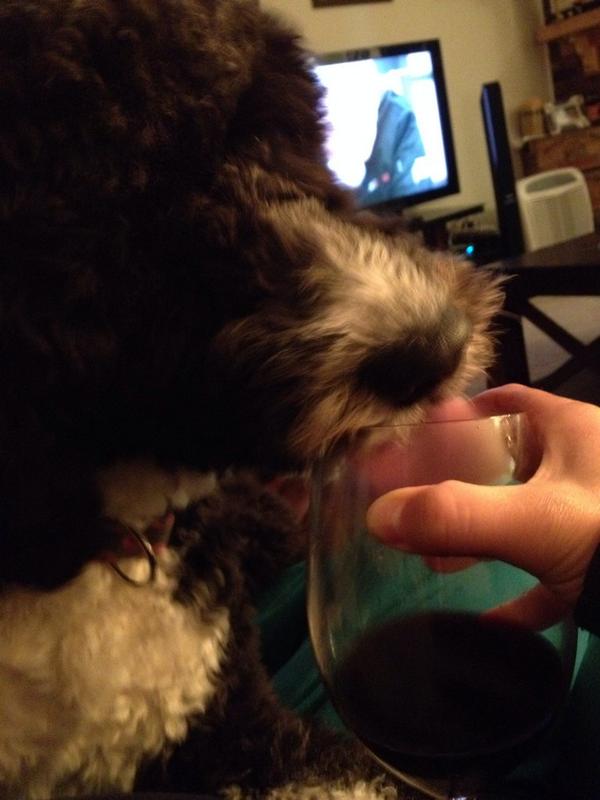 StephGGallo's tweet image. Can't say I blame you