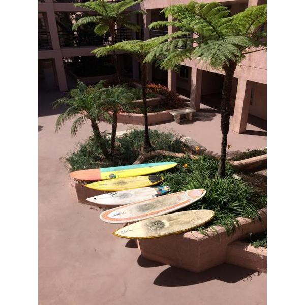 johnerck's tweet photo. Cleaning up the quiver. Step 1, let the sun do all the work. #phramed http://t.co/i2nzCm8n9A http://t.co/1GVftLnqVQ