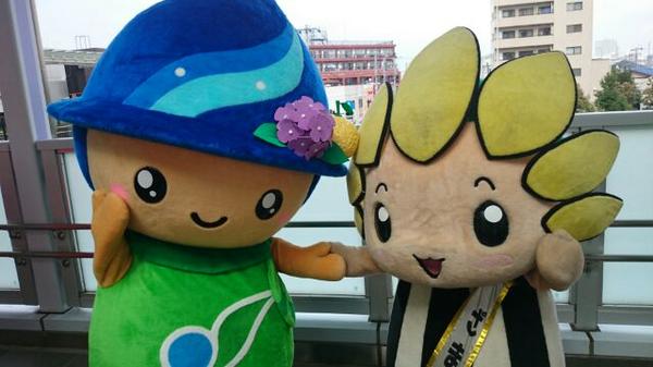さがみん 本物 ざまりんちゃんとさがみんは仲良しになれたのぉ さがみん Sagamin Http T Co 8asmgcmfya さがみん 本物 ざまりんちゃんとさがみんは仲良しになれたのぉ さがみん Sagamin Http T Co 8asmgcmfya
