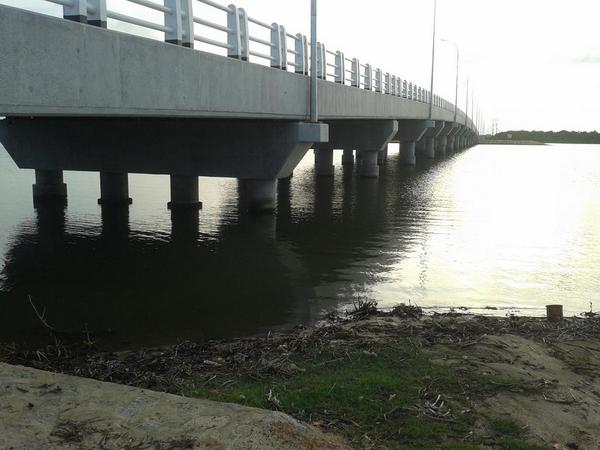 nmmsaheer's tweet image. 