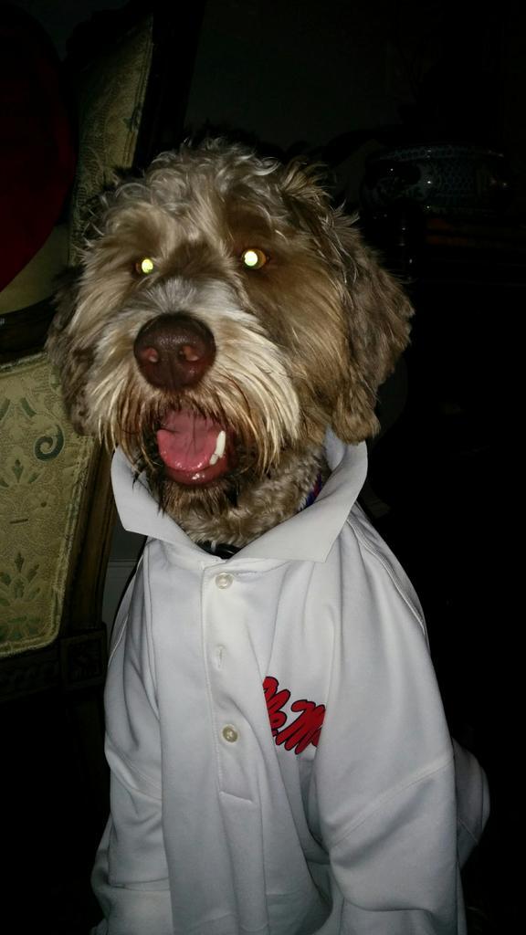mb0lt0n's tweet photo. @OleMissPix @CollegeGameDay  @ http://t.co/ZHWHzYrBRf