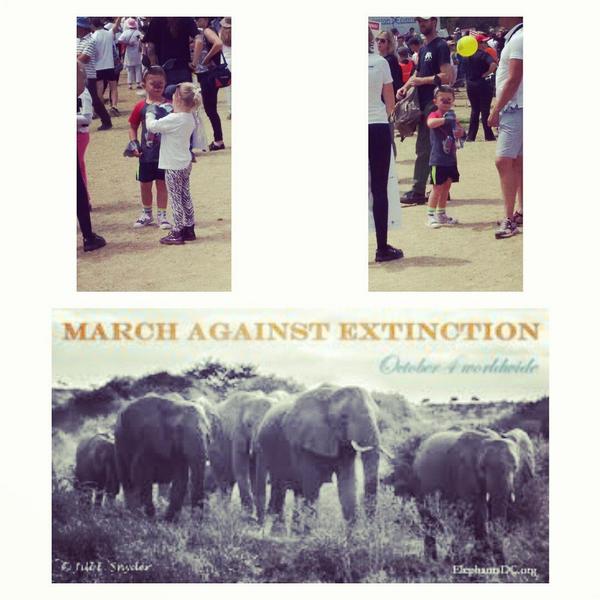 nlupini's tweet image. Kids March today too for future generations! #againstextinction #GlobalMarchforElephantsLionsRhinos #WTM