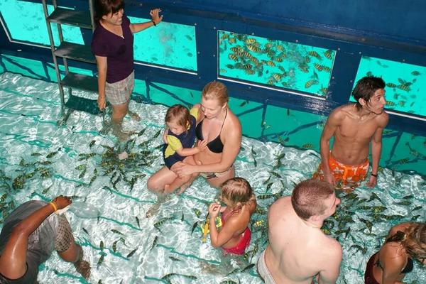 Armppcruiser's tweet photo. Touch new experience with live aquarium http://t.co/eH3vd3BCHH #travel #lp #phuket #หลงรักประเทศไทย #ttaauppersouth http://t.co/m3Oi6hkys4