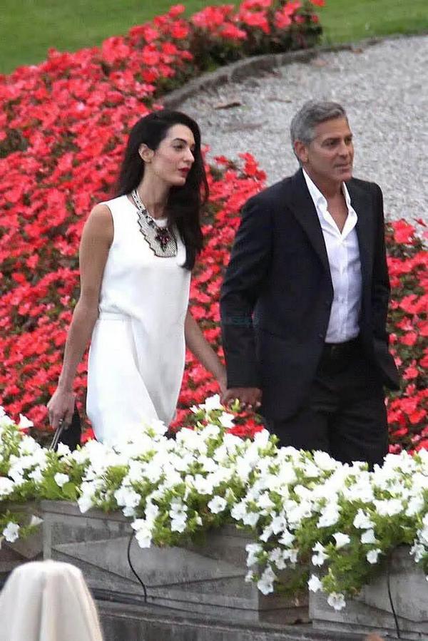 amalalamuddin tweet media