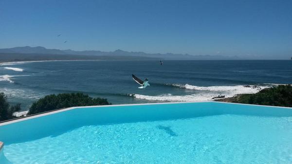 markbrownsa's tweet photo. Wine and bubbly VIP opening. #itsafeeling #plett #pletthopespot http://t.co/LOHZstbYhV