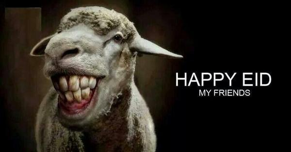 عيد سعيد وهابي خروف 🐪🎁🎊🎈🐃🎉🐮😉🎋🐃🎈🎁 @nat_tati "