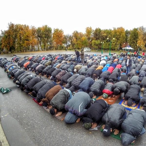 Прямая ссылка на встроенное изображение