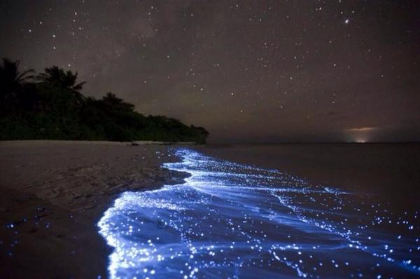 Memo del Bosque on Twitter: "A soñar con una playa con estrellas que iluminan el cielo y el reflejo de la luna sobre las olas del mar. http://t.co/6X1CrykKBZ" / Twitter