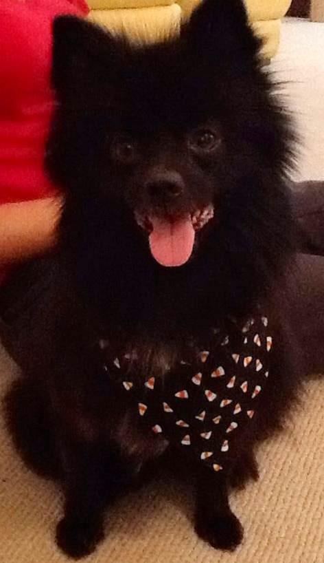 minusdespair's tweet image. look atmy son