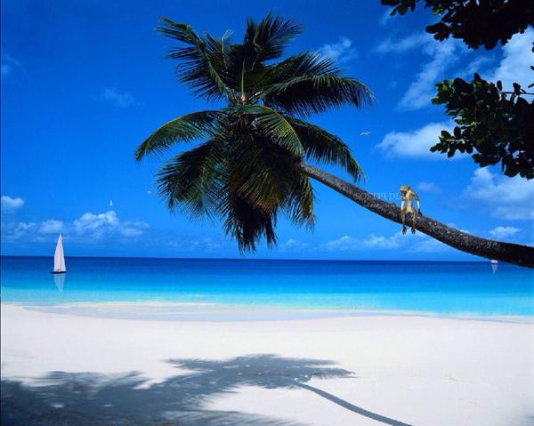 DAR TRAVEL & TOURS tweet media
