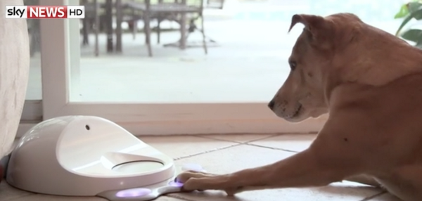 SkyNews's tweet photo. Would you buy gadgets for your pets? Here's the latest in pet tech with @SkyGemma #Swipe http://t.co/BT6RCPPWA5 http://t.co/EkUIj9p0SM