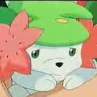 BoyDemon141 tweet picture