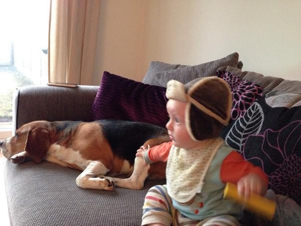 Hey beagle  buddies have you missed me? I've been busy moving house and being a brother to this little chap...