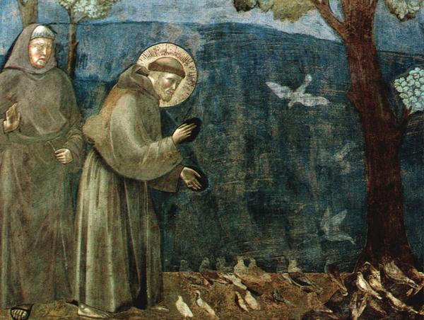 Puglia_in's tweet photo. Oggi l'Italia festeggia il suo #patrono #sanfrancesco
#auguri a chi porta questo nome
#augurifrancesco http://t.co/gqJiwCNpXT