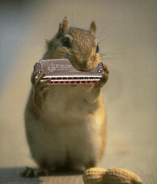 1SANDRINE2's tweet image. @YoannFreget Bon week-end mon #YoyoLove 💕 gros bisous :-)