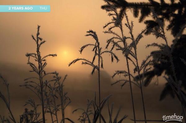 treetanner's tweet photo. #timehop 2 years ago today #frost #fog #photography #explorealberta #keep_exploring #nature http://t.co/xsbgeUADge