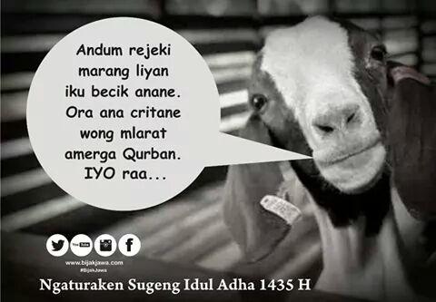 Andum rejeki marang liyan iku apik anane.Ora ana critane wong mlarat amerga Qurban. #bijakjawa