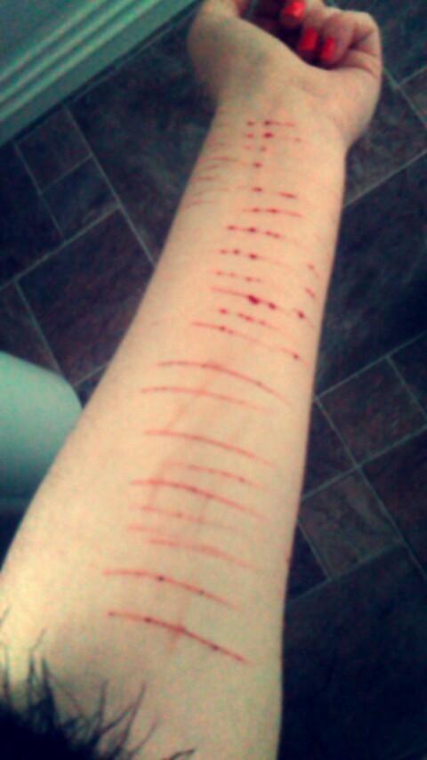 WithinSadness's tweet image. Further sadness