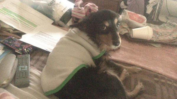 monicrivaz's tweet photo. FRIOOOLENTA MI BRI!!!!! T amo!! http://t.co/OAzhOwVOUi