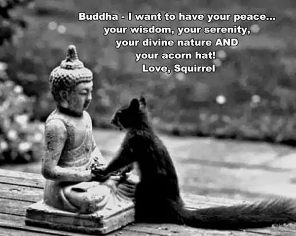 ECWnhvn's tweet image. Good Morning #NHVN join #elmcitywellness for Soundtrack  #Yoga at 8am. Just $10  tinyurl.com/mr3p544