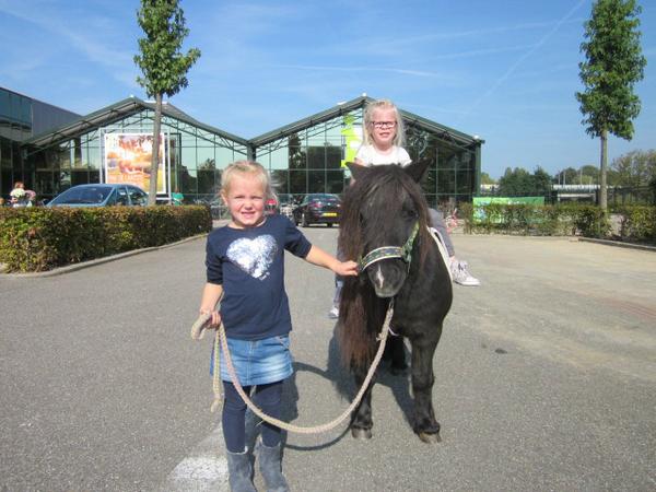 Vandaag kunnen de kinderen pony rijden bij Intratuin Leidsche Rijn 
Kom ook!! Ze zijn er nog tot 16:30. Tot zo