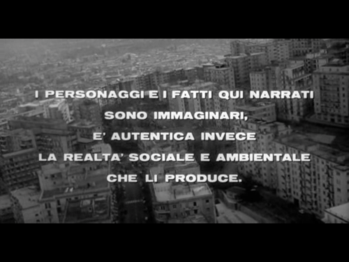 Francesc tweet media