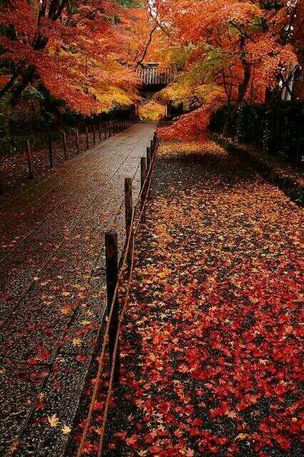 f99ii's tweet image. انشودة عيد الاضحى:
 youtu.be/vaaiEmZRUUE
#عيد_الأضحى
#عيدكم_مبارك
#رتويت
اهداء للأعزاء🌹