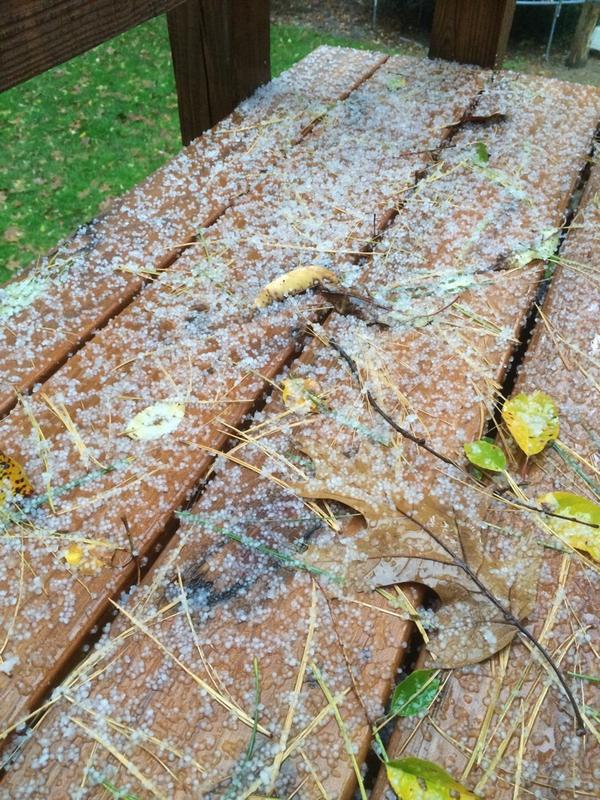 tkoppmann's tweet photo. @Envy_Mich 
Indeed!!!  It's to early for sleet!!!! http://t.co/M5BCMs8UR7