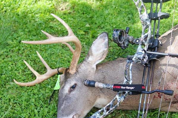 pike_mazter's tweet photo. Sanilac county 7 10/4/14 @StrotherArchery @SummitTreestand #michiganhunting #bowhunting #michigan #extendyourrange http://t.co/sLoTsALmuk