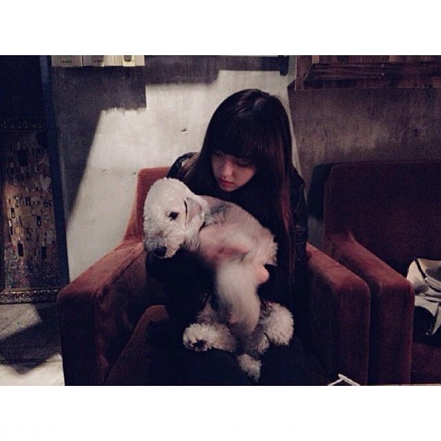 BzHNxnJCEAE85aC.jpg:large